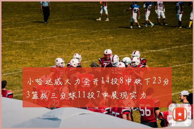 小哈达威火力全开14投8中砍下23分3篮板三分球11投7中展现实力