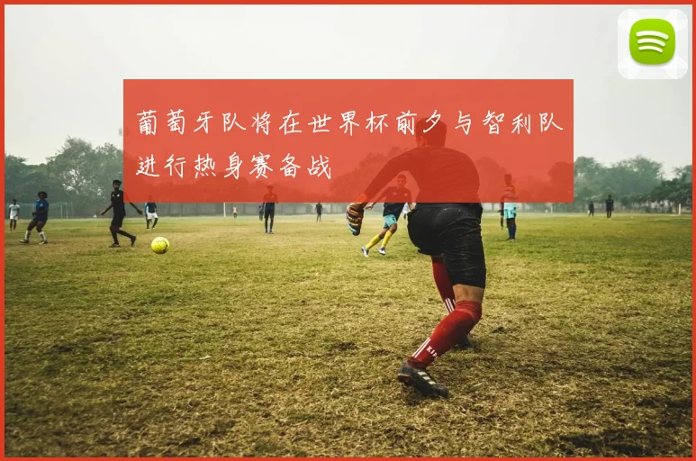 葡萄牙队将在世界杯前夕与智利队进行热身赛备战